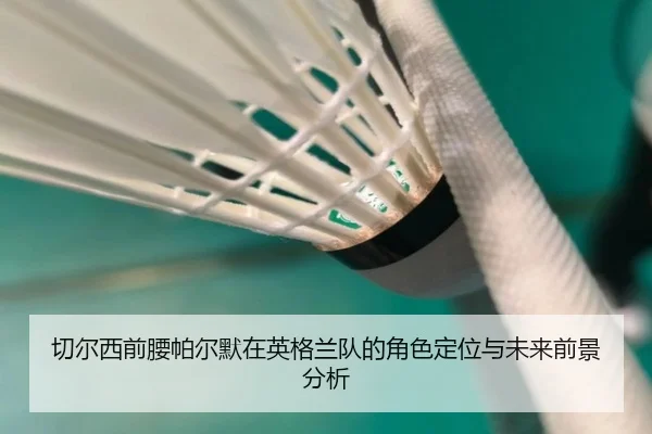 切尔西前腰帕尔默在英格兰队的角色定位与未来前景分析